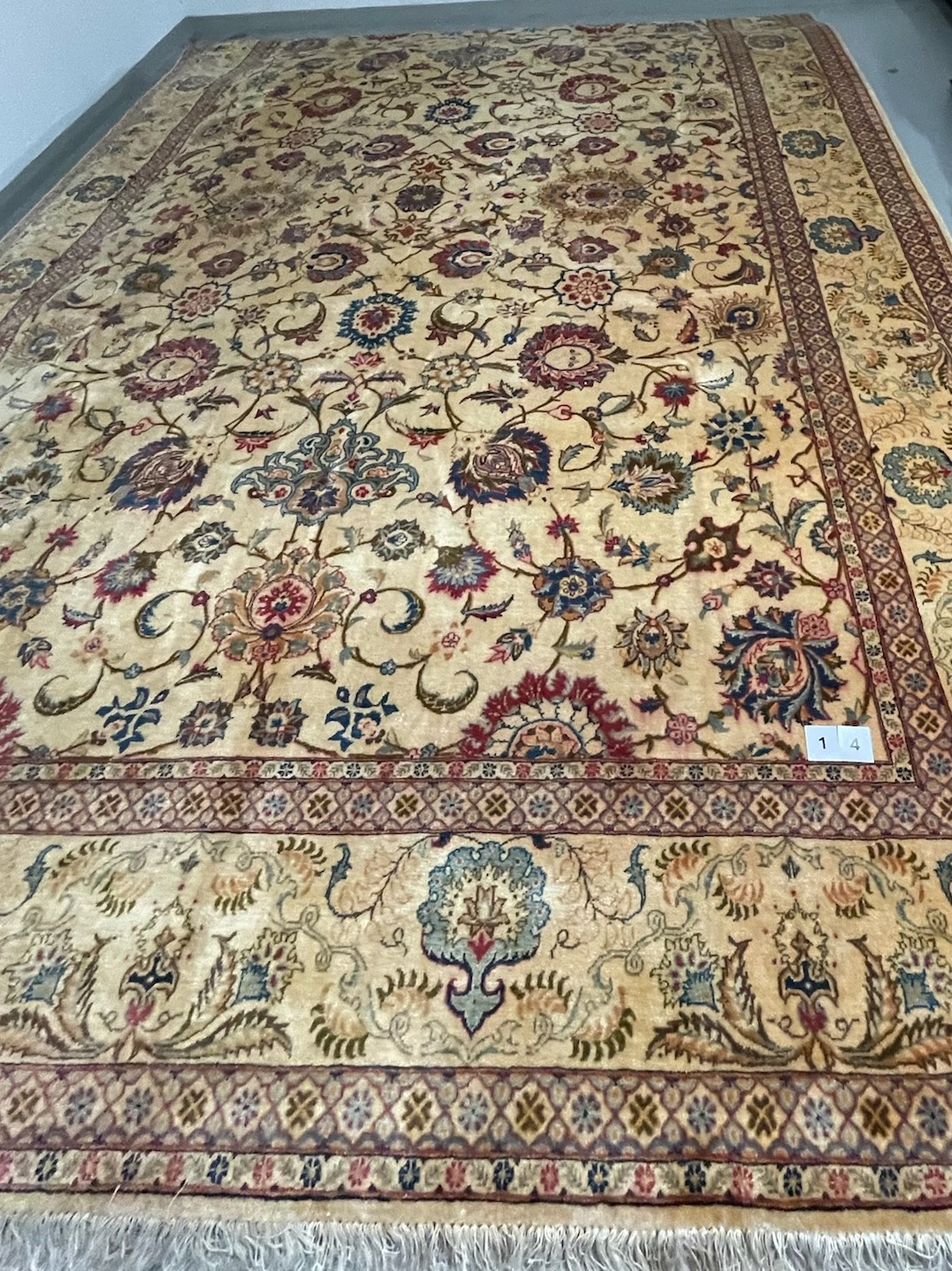Turkmen Fragment