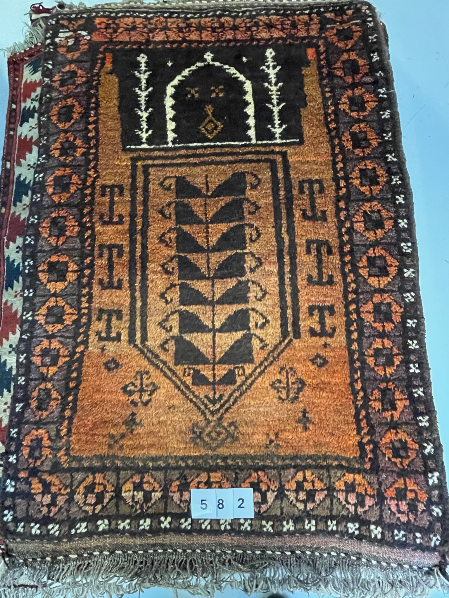 Nomaden Beloutsch