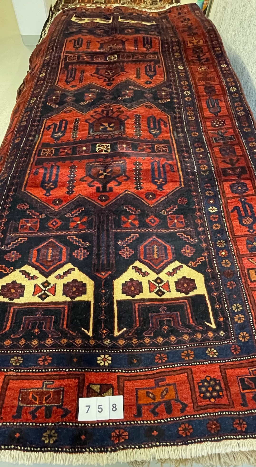 Kolyai Kordi