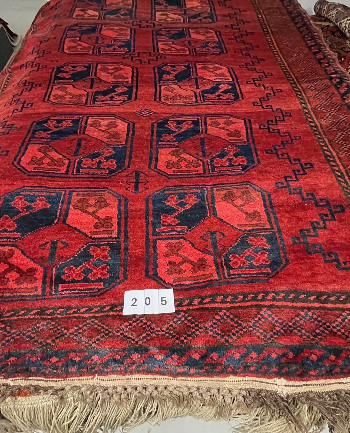 Solaiman Alt Afghan